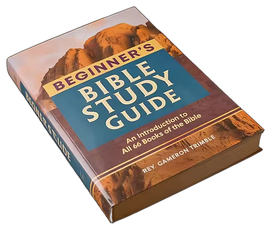 Beginner's Bible Study Guide, Covenant Path